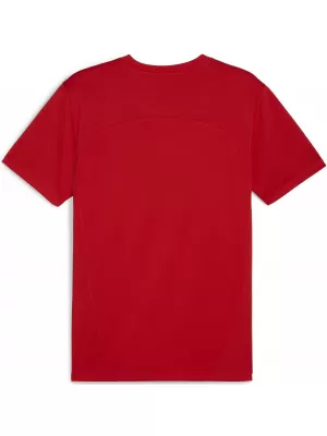 Мъжки функционална риза PUMA TEAMFINAL TRAINING JERSEY 658557_01 PUMA RED/PUMA SILVER