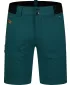 Мъжки шорти NORDBLANC CLIMBHIGH NBSPM8197 ЗЕЛЕНО