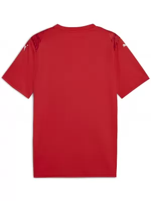 Мъжки фланелка PUMA TEAMULTIMATE JERSEY 706280_01 PUMA RED/PUMA WHITE