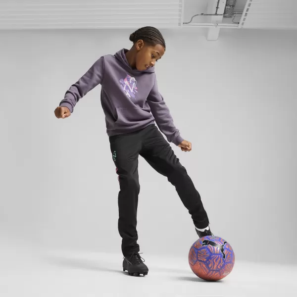  Бебешка суитчър PUMA NEYMAR JR CREATIVITYHOODIEJR 660100_01 ЛИЛАВ ВЪГЛЕН 