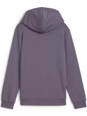 Бебешка суитчър PUMA NEYMAR JR CREATIVITYHOODIEJR 660100_01 ЛИЛАВ ВЪГЛЕН