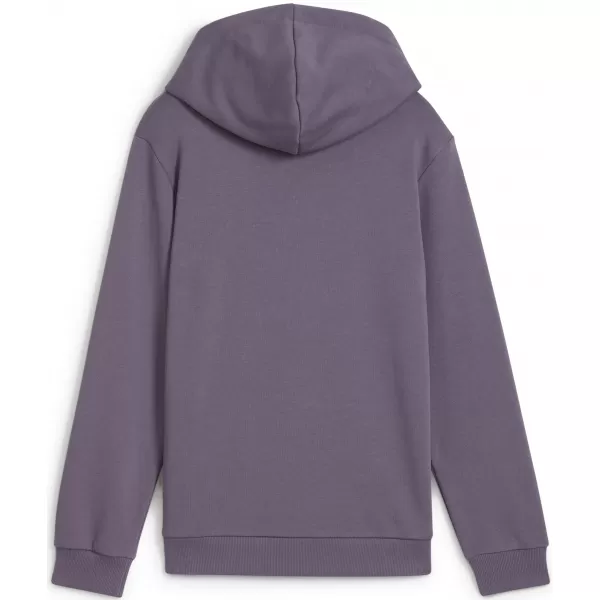  Бебешка суитчър PUMA NEYMAR JR CREATIVITYHOODIEJR 660100_01 ЛИЛАВ ВЪГЛЕН 