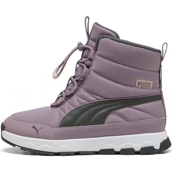  Ботуши PUMA EVOLVE BOOT JR 392644-09 ЛИЛАВО 