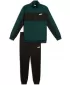 Мъжки комплект PUMA POLY COLORBLOCK SUIT 687304-75 ЗЕЛЕНО