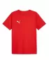 Мъжки фланелка PUMA TEAMRISE MATCHDAY JERSEY 706132-01 ЧЕРВЕНО