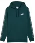 Мъжки суичър PUMA ESS TAPE HOODIE FL 684675-75 ЗЕЛЕНО